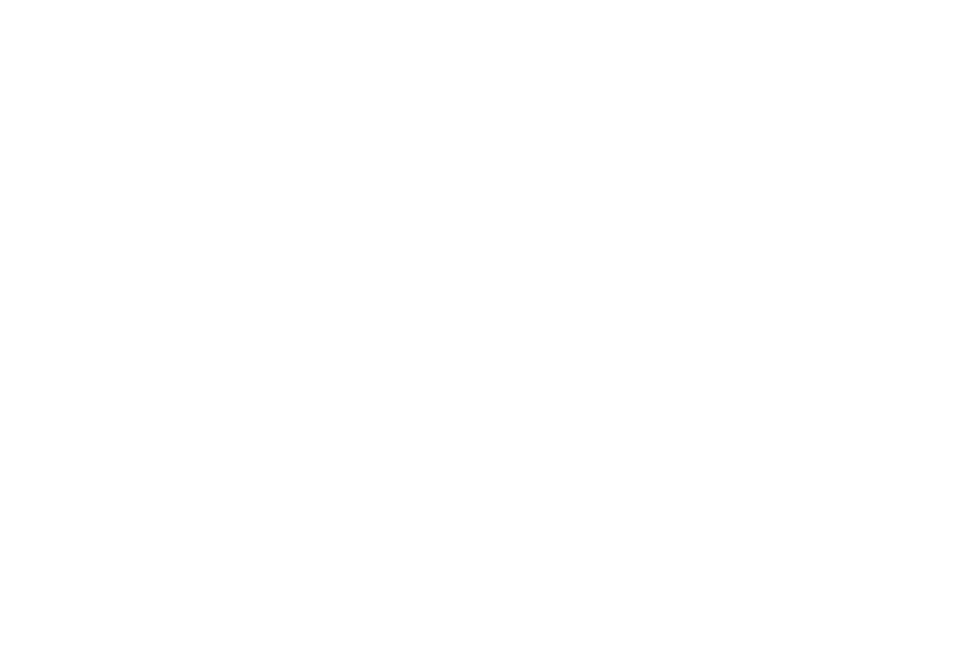 Monkey Vision